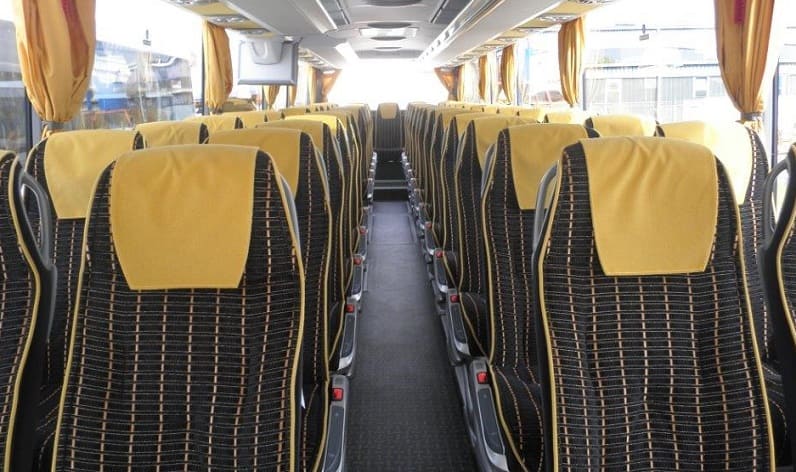 Czech Republic: Coaches reservation in Hradec Králové in Hradec Králové and Trutnov